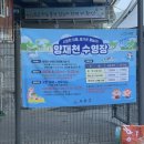 동진매점.휴게음식점 | 2026 양재천 수영장 입장료, 준비물, 주차 후기