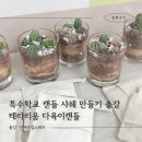 학교형태 | 특수학교 다육이캔들 샤쉐만들기 출강후기 화성 동탄 수원 용인 공방