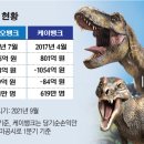 일강 이미지