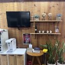 아이룩안경콘택트 이미지