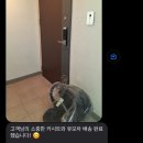 하나세탁 | 동탄 카시트 세탁 91클린 동탄점 | 바구니 카시트 하루 만에 세탁 배송 완료!