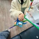 꿈빛유치원 | 시간이왜이리빨라?