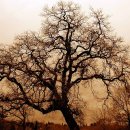 이마트 광교점 이미지