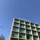 쇼호텔 | [포르투갈 리스본 호텔] 루멩 호텔 앤 더 리스본 라이트 쇼 내돈내산 후기