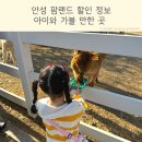 꼬꼬네농장 | 안성팜랜드 할인 주차 유모차대여 아이와 가볼 만한 곳 추천