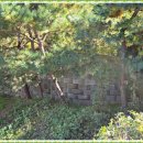 강화토지개발 공인중개사 사무소 이미지