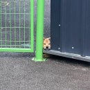 소망건강원 이미지