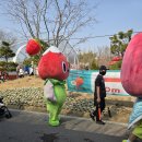 행복을파는장사꾼 | 2026 논산딸기축제 비하인드: 4일의 간단한 기록