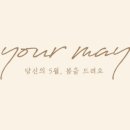 유어메이(Your May) 이미지