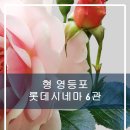 롯데시네마 영등포 6관 이미지