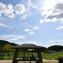 아름다운우리약국 이미지