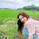 케이도트