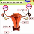 종아리가 부었는데 손등에 멍을 내니 사라지는 부기 이미지