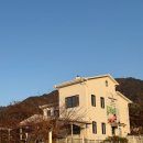 강아지분양 고양이분양 컴투펫 원주점 이미지