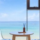 스테이올라 이미지