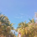 Cafe  몽스파 이미지