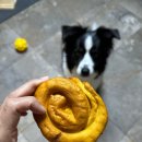 신우덴탈 이미지