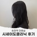송파역미용실 시세이도 클리닉 펌 후 관리 후기