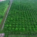 경진상사 이미지