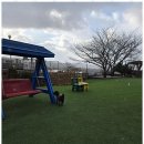 애견펜션 돌봄 이미지