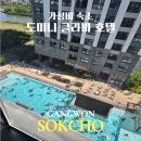싱글멍글 | 속초 도미니 클라바 호텔 후기 | 체스터톤스보다 저렴한데 온수풀·사우나까지 무료?(같은 건물)