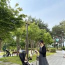 내돈내산 실버크로스 절충형 유모차 듄2 베이비하우스 양주점