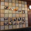 애견깍새 이미지