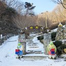 좌구산 줄타기매표소 이미지