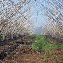 농부의 정원 이미지