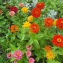 삼학도 이난영공원 입구 이미지