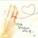 하얀노을 이미지