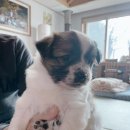 칠봉로 이미지