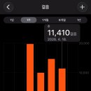 보금지 | 신주쿠 여행 추천 후기 1만 보 걷기