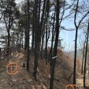 8 | [충남 아산시] “설화산” 등산 / 3월 8일 등산 후기