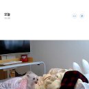 자양제일커피 이미지
