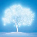 백연옥발레단 이미지