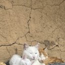 선류산장 이미지