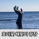 호미곶광장 | 포항 호미곶 해맞이 광장 주차위치, 방문 후기