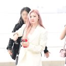 라미헤어 이미지