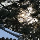 중앙로(마차다리방향) | 가족들과 경북 영주여행.zip_소수서원,무섬마을 외나무다리