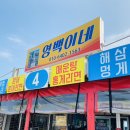 영백이네 | 강릉 주문진 맛집 왕추천-영백이네 오징어회, 문어숙회, 문어라면(소돌항 맛집 추천)