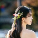 니로스냅 이미지