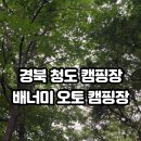 배너미오토캠핑장 이미지