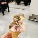 용스크림