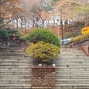 어린이청소년도서관(옥외) 이미지