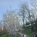 봉황교 주차장 이미지