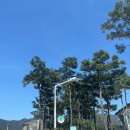 초록여울 캠핑장 | 근교 경남 캠핑장 추천 / 보람베이킹카페와 개별화장실이있는[ 창녕 초록여울캠핑장] C8사이트 솔직후기