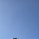 도탄 | 속리산 법주사 팔상전 금동미륵대불 쌍사자석등 정이품송 청주 근교 나들이 후기