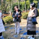 초의선사탄생지(1) 이미지