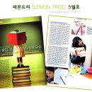 레몬트리 이미지